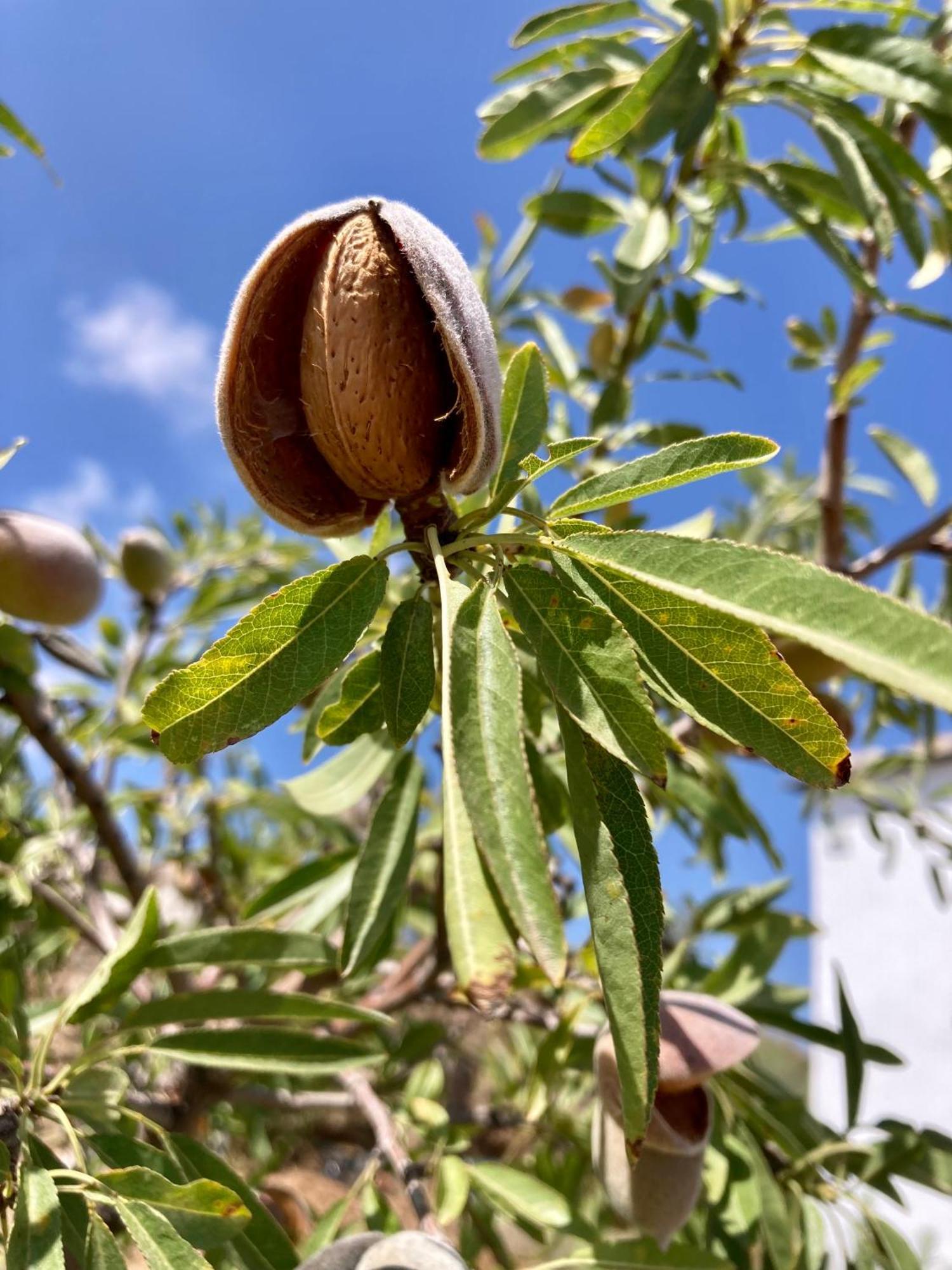 דירות Polopos Casa Coco No 11 מראה חיצוני תמונה